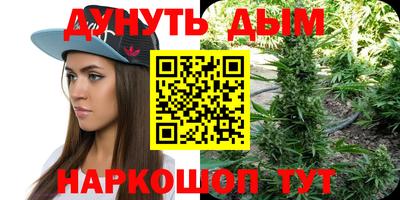 спиды Камышлов