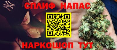 спиды Камышлов