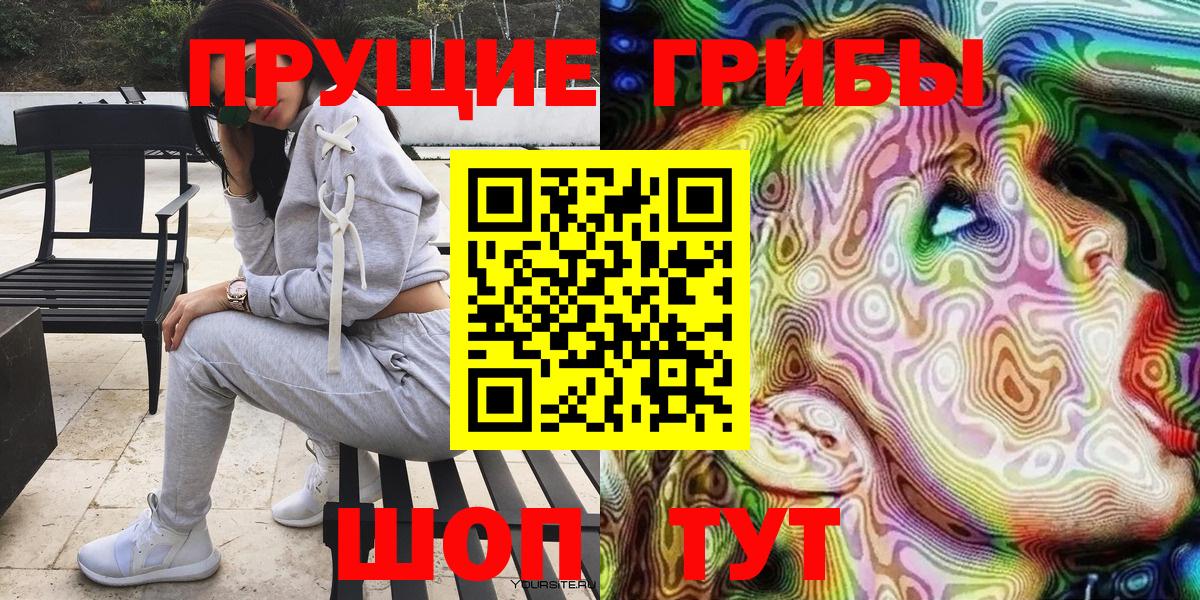 Галлюциногенные грибы Psilocybine cubensis Коряжма