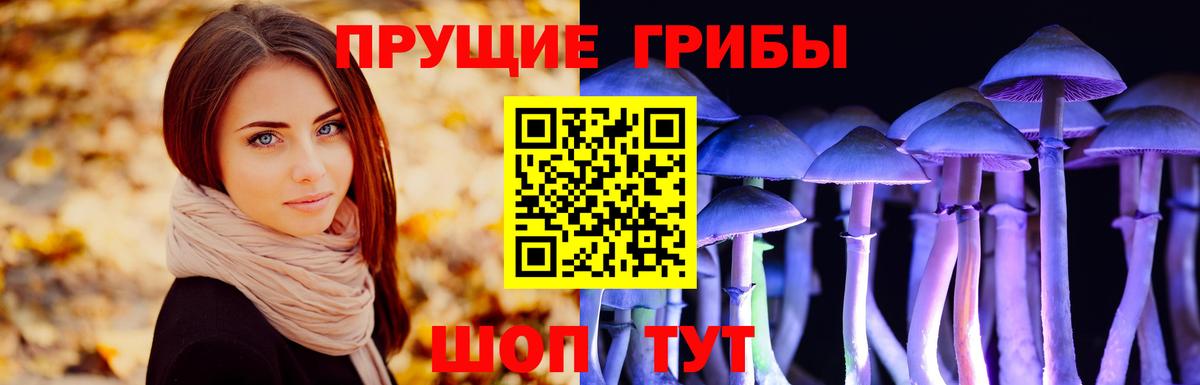 Галлюциногенные грибы GOLDEN TEACHER  Вход с VPN  Коряжма 