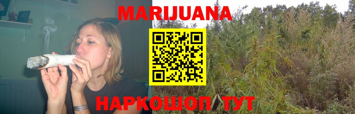 Каннабис план Коряжма